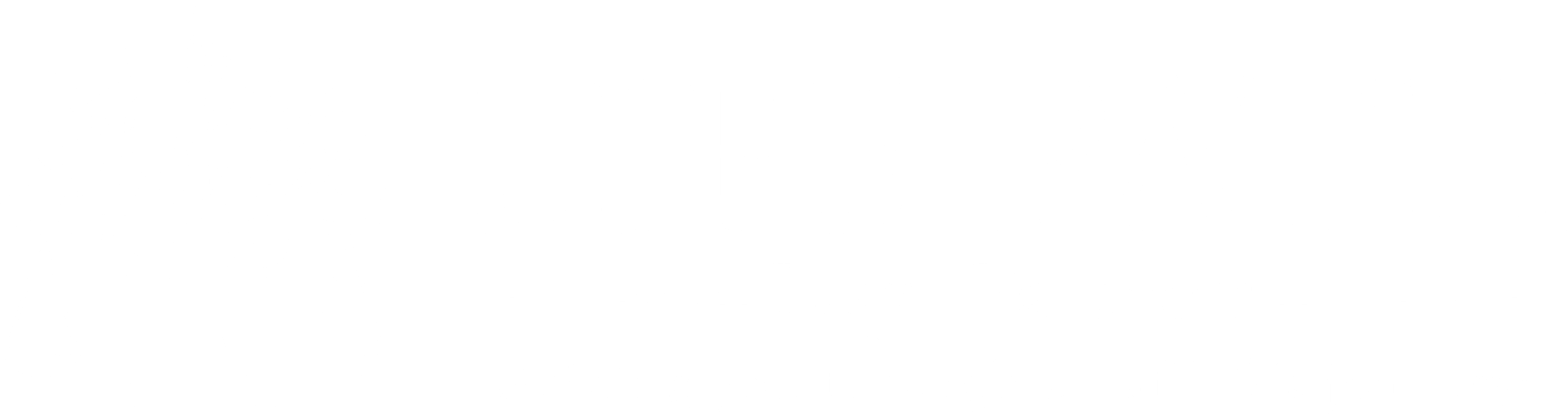Life Path Primary Logo Horizontal White